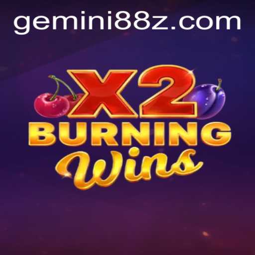 An In-Depth Exploration of BurningWinsX2: Unveiling GEMINI 88