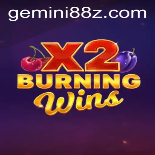 An In-Depth Exploration of BurningWinsX2: Unveiling GEMINI 88